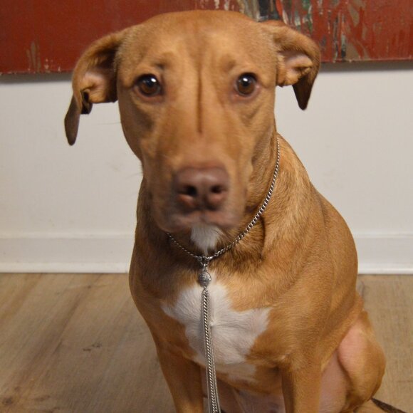 Multi-Strand Sterling Silver Chain Necklace with Diamond Pendant by Sheryl Lowe - Picture 4 of 9